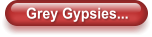 Grey Gypsies...
